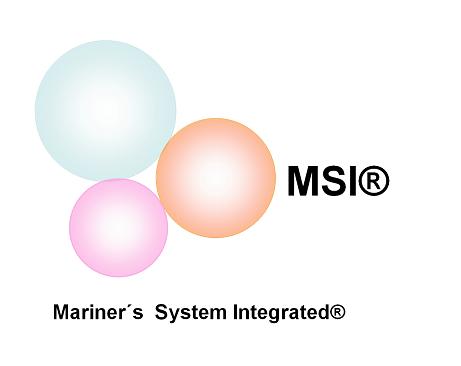 logo-msi.JPG